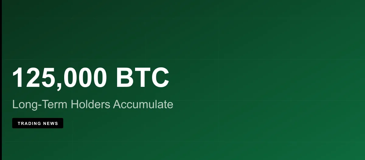 Long-Term Bitcoin Holders Absorb 125,000 BTC in June 2026 — Biggest Accumulation of the Cycle