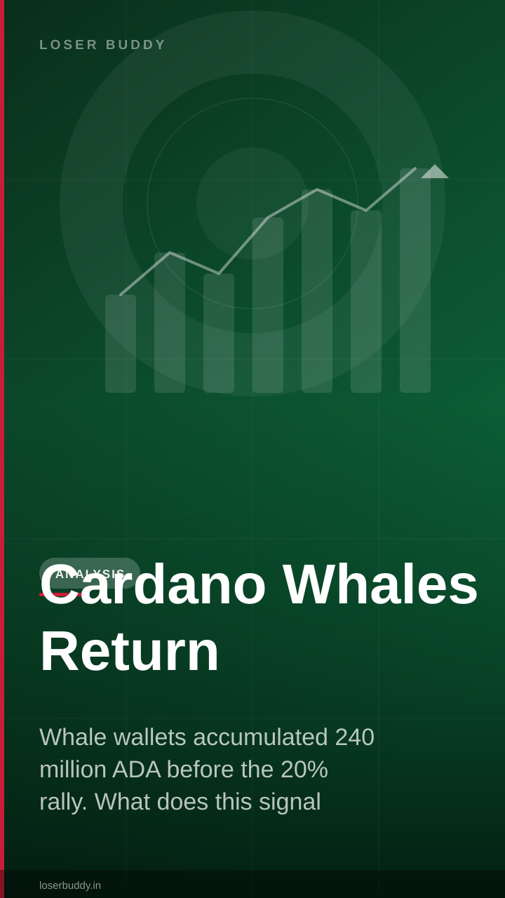 Cardano Whales Return: 240M+ ADA Accumulated